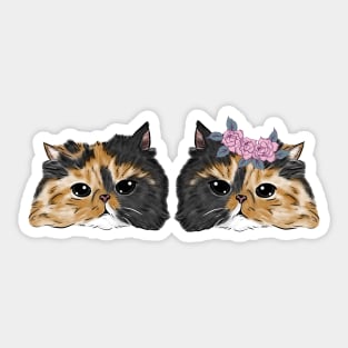 Twin Black Brown Cat Couple _ Bunniesmee Sticker